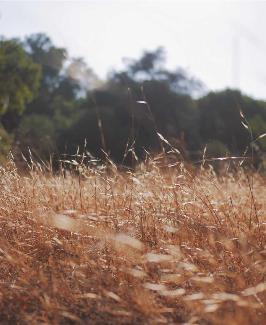 Tech sensor close up