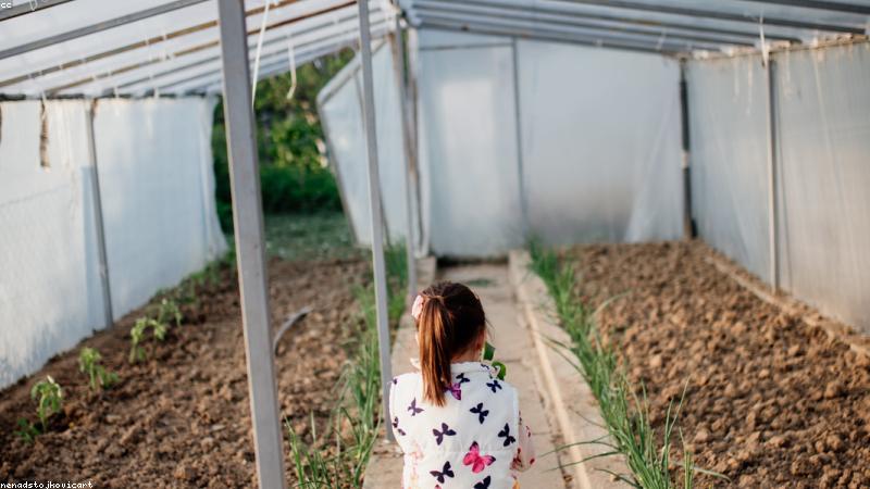 Đất canh tác hữu cơ giàu vi sinh vật