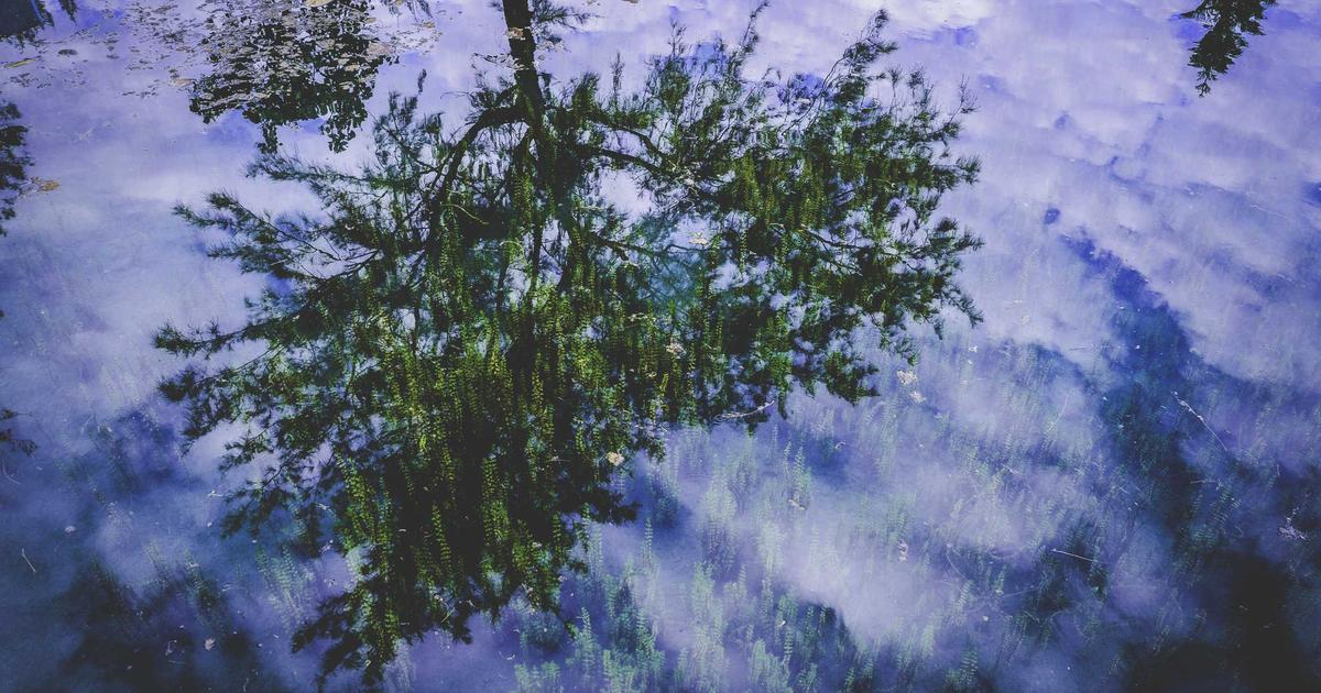 Phân tích hiệu quả: Thiết kế website bằng AI BrandBoost so với phương pháp truyền thống