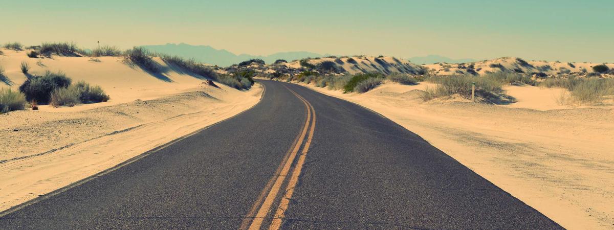 Phật giáo Việt Nam 2026