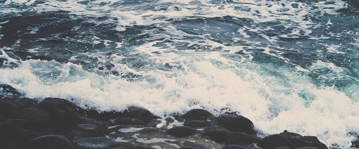 Fitness Pro 360 Luxury Interior 2026