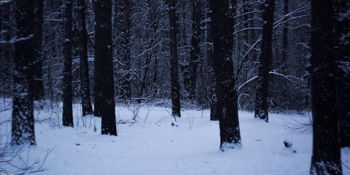 AI vs Traditional Web Design