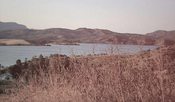 Chị Lan happy life