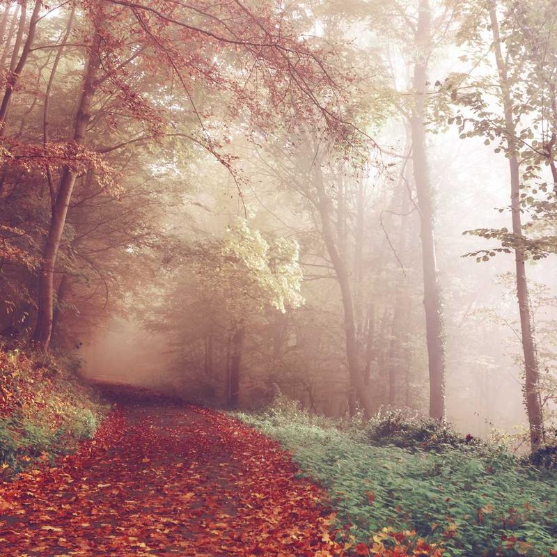 Váy Hoa Nhí Vintage Dáng Dài 2