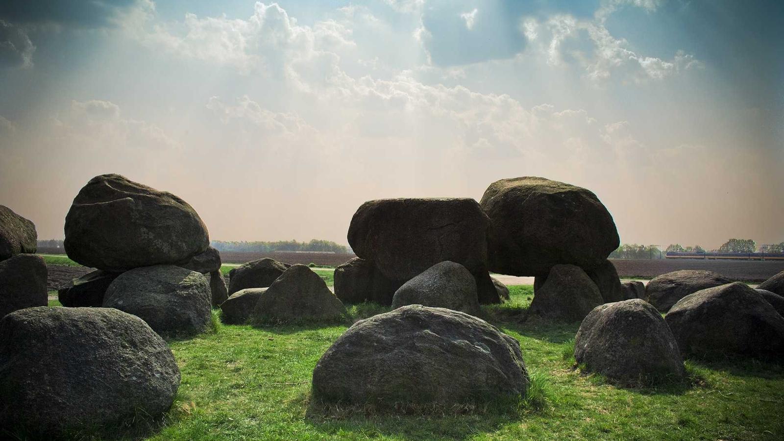 Essential Oils Spread