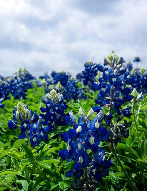 Perfume atelier session