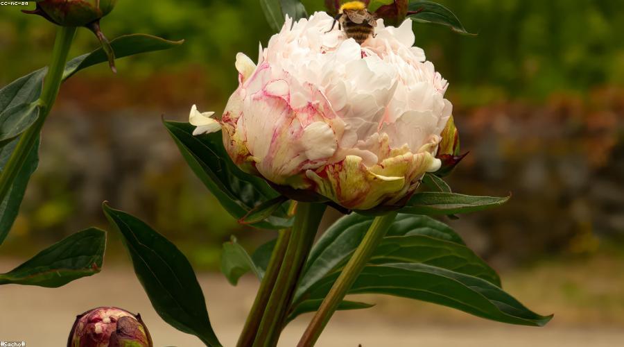 Yoga Retreat in Nature