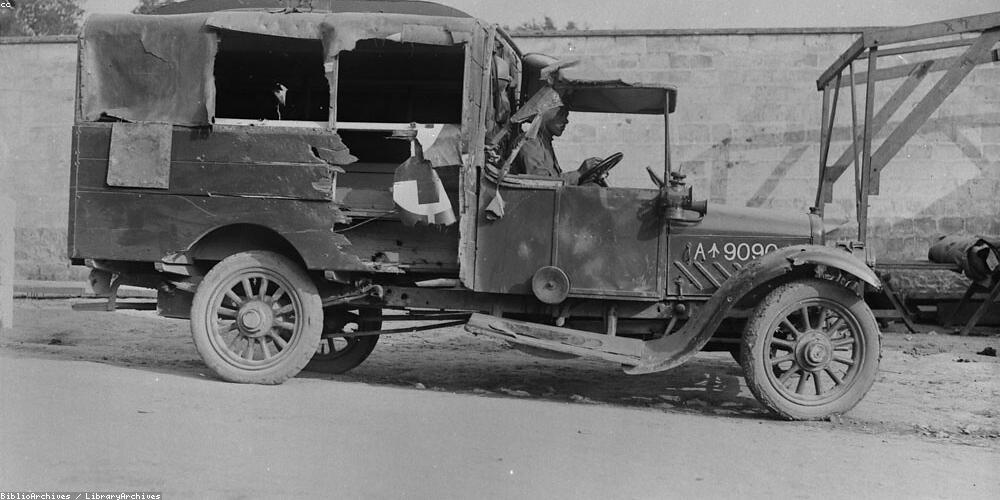 Đất trồng hữu cơ giàu dinh dưỡng