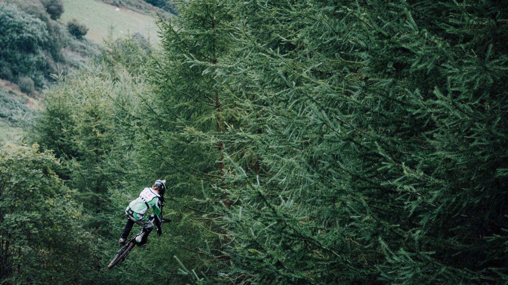 Luxury 213 Trends 2024