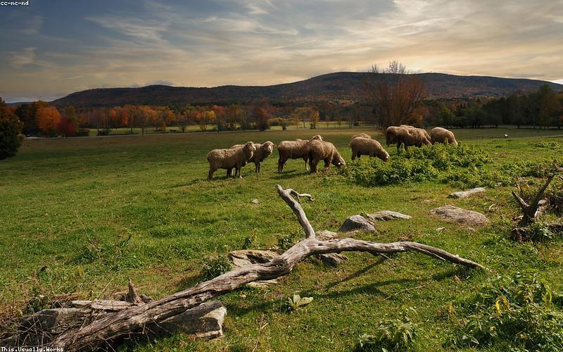 Professional Bartender Movement