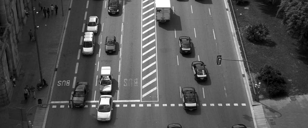 Túi phân hủy sinh học Eco Packaging 2026