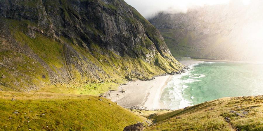 2026 Holo-Pet Ecosystem