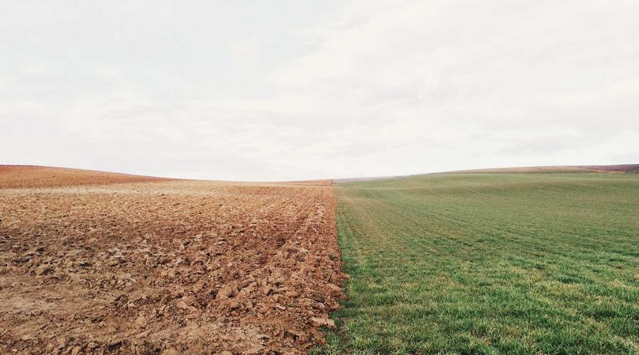 Mật thất ngầm tại Đà Lạt 2026