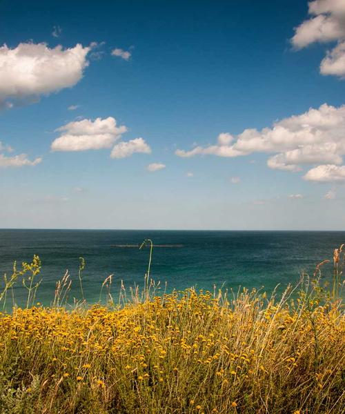 Green Accommodation 2026