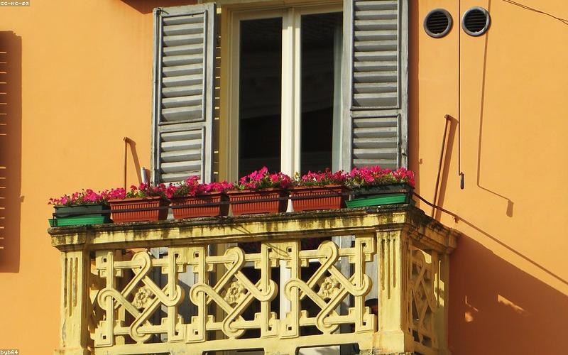 Cửa sổ đón nắng mai tại Forest Retreat