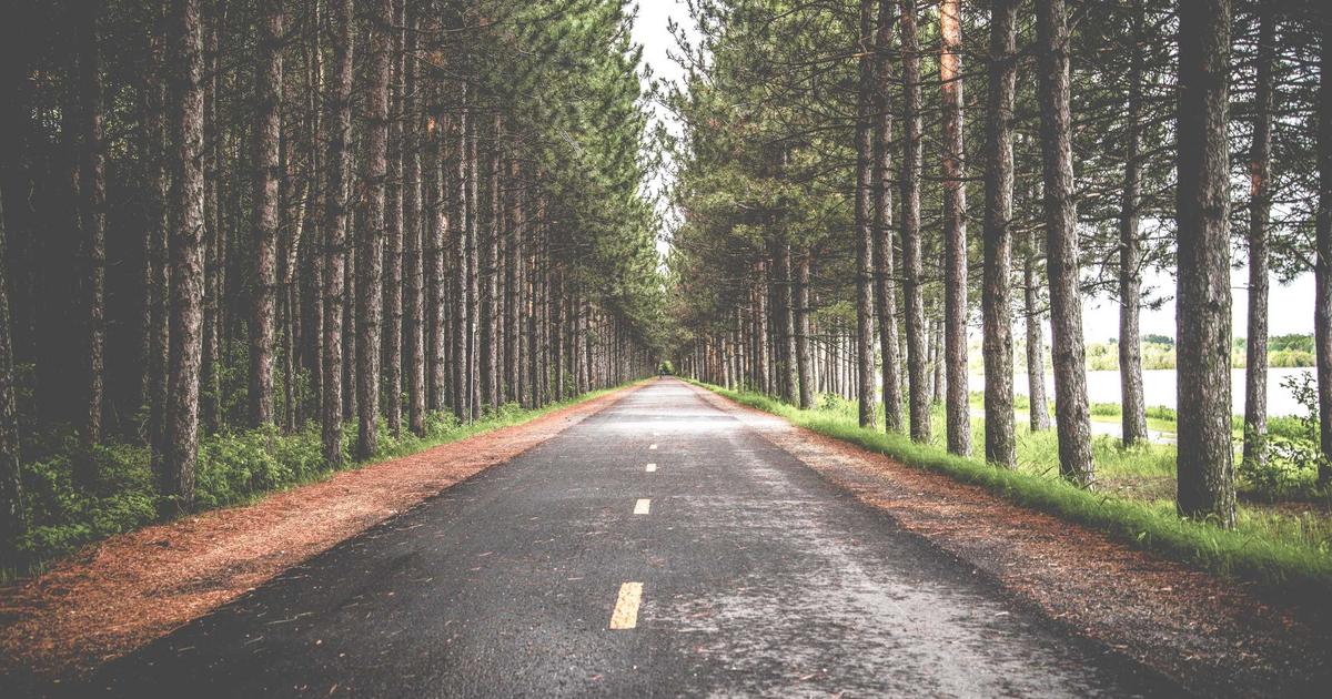 Xu hướng nghỉ dưỡng Wellness 2024: Vì sao Villa ven biển đang dẫn đầu thị trường?