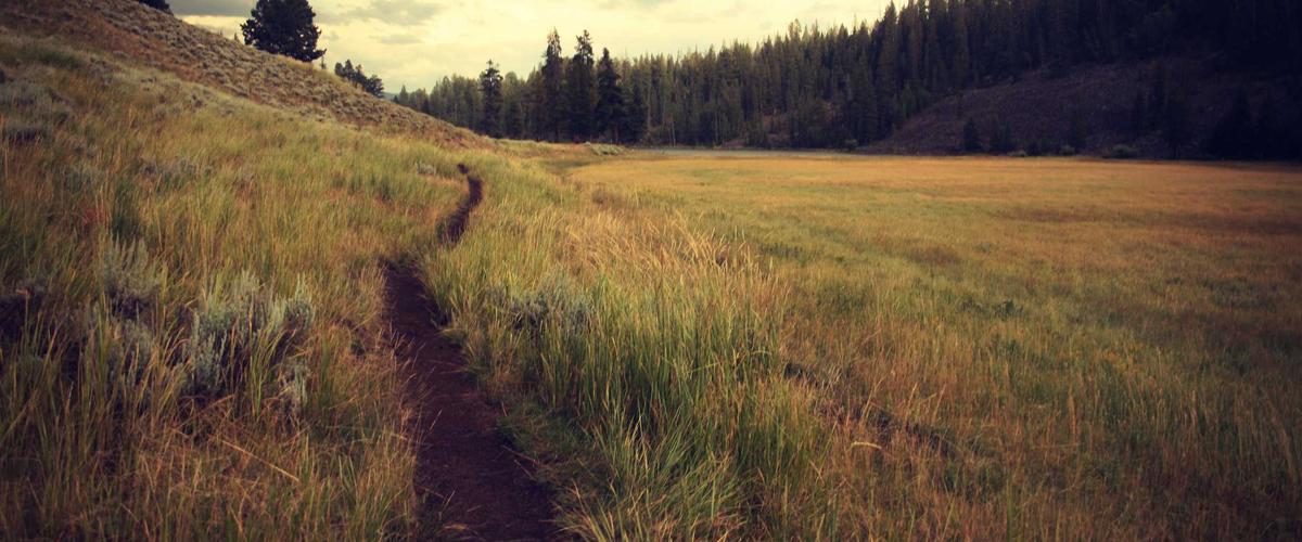 Post-Quantum Interoperability Protocols