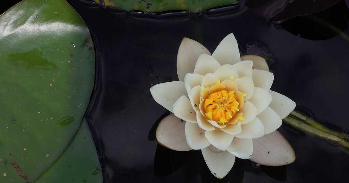 Hướng Dẫn Quy Trình Kiểm Toán Báo Cáo Tài Chính Chuẩn Cho Doanh Nghiệp Mới