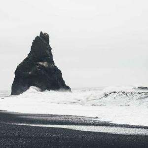 Ốp lưng Carbon Neutral