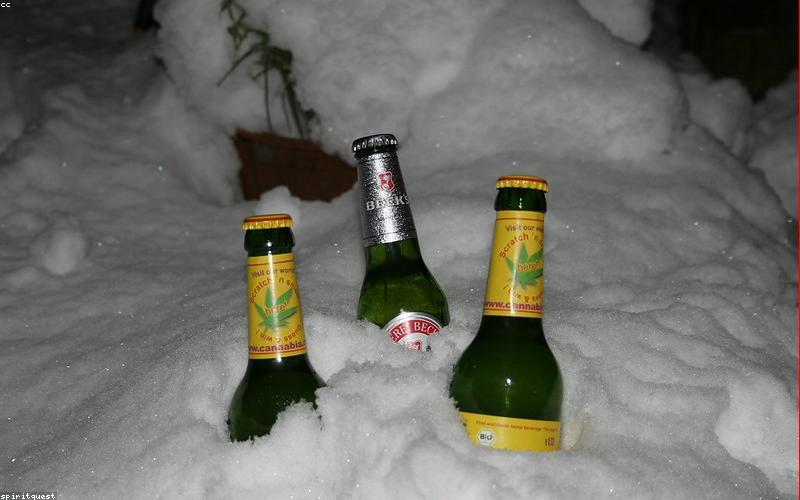 Kiểm tra nhãn mác thực phẩm hữu cơ