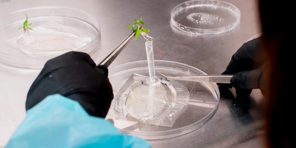 Không gian văn phòng xanh hiện đại 2024