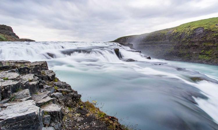 Robot chữa lành thông minh 2026