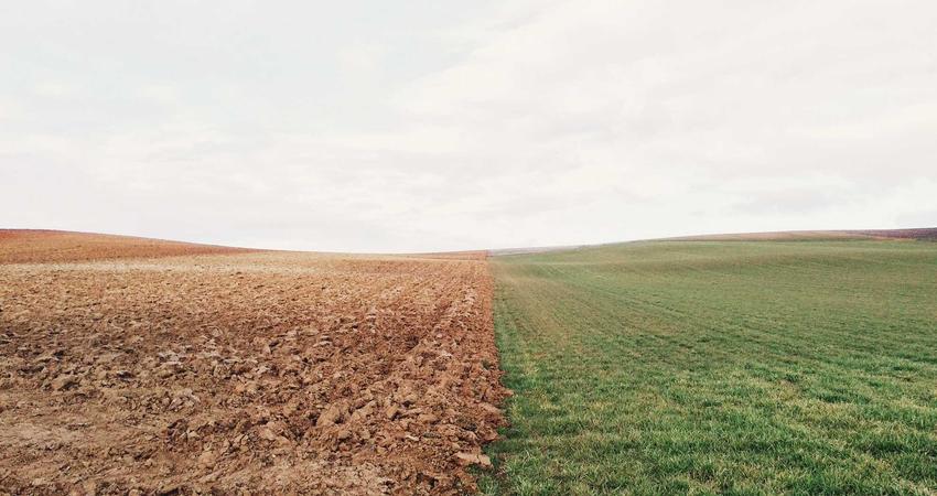 Công nghệ blockchain trong lưu trữ nghệ thuật