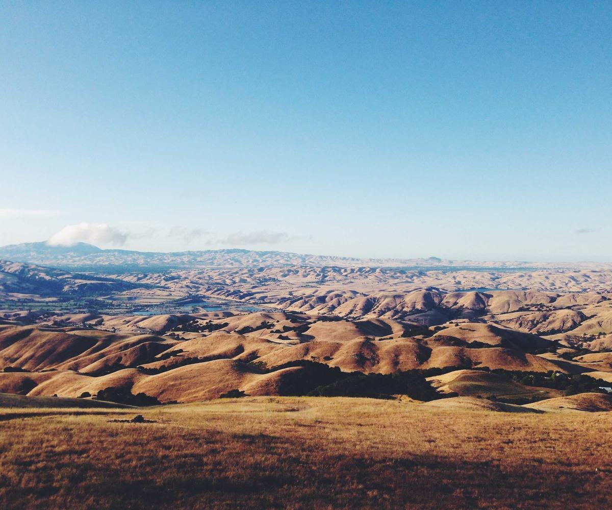 Sản phẩm đặc biệt Boss Drop