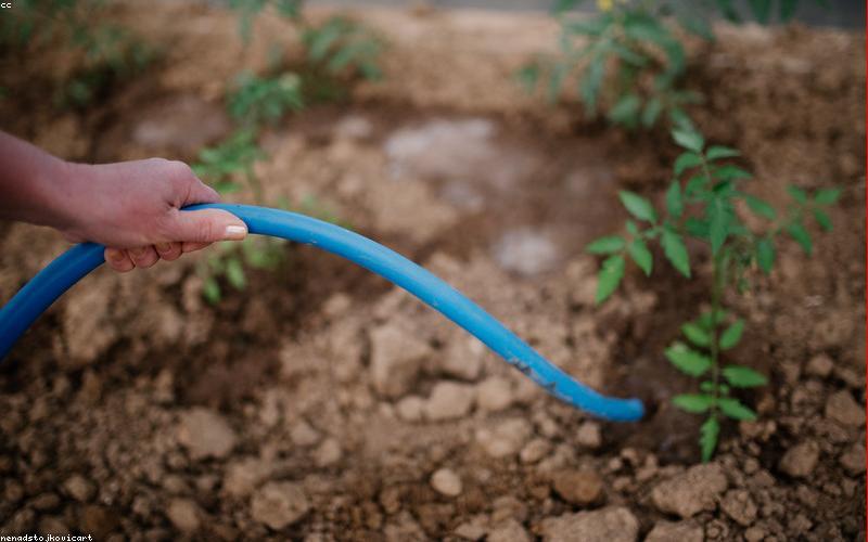 Nông trại hữu cơ xanh mướt của GreenLeaf