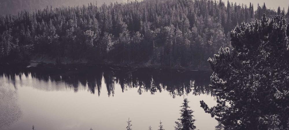 Hybrid Training Layout