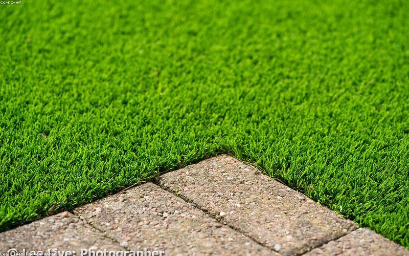 Thời trang trẻ em năng động 2024