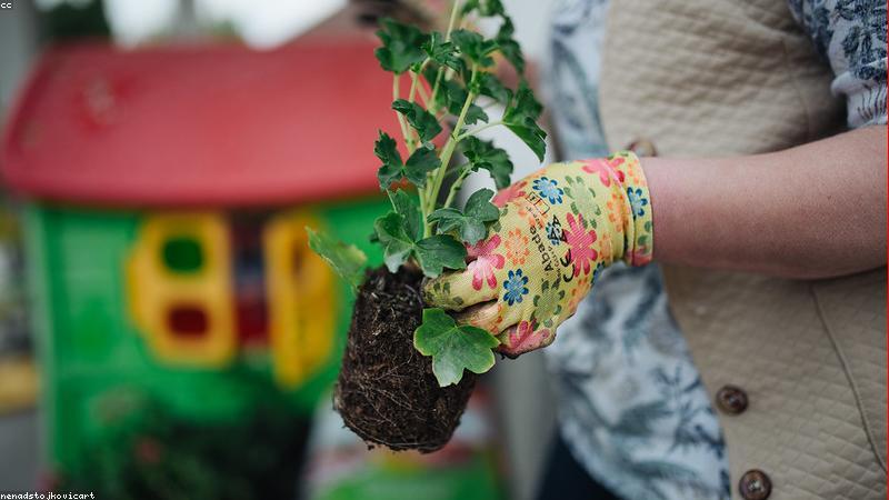 Green concept travel technology