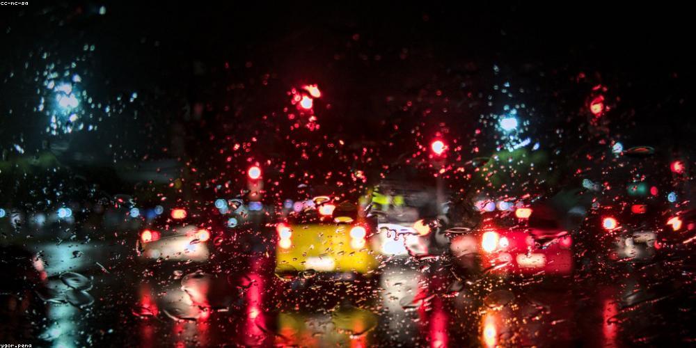 Sự tinh khiết từ thảo mộc