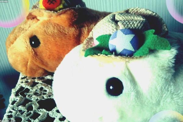 Gấu bông Capybara hot trend 2024