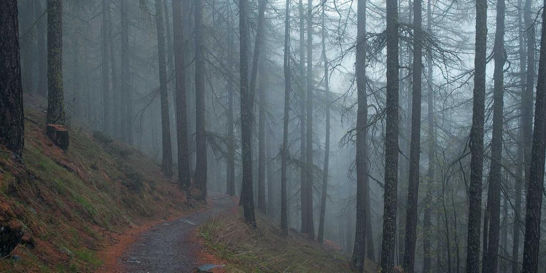 Kê khai thuế Real-time 2026