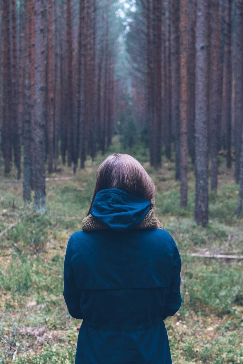 Spring Forest Collection