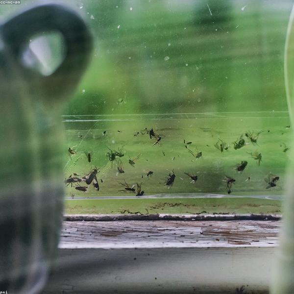 Washi Tape Lifestyle