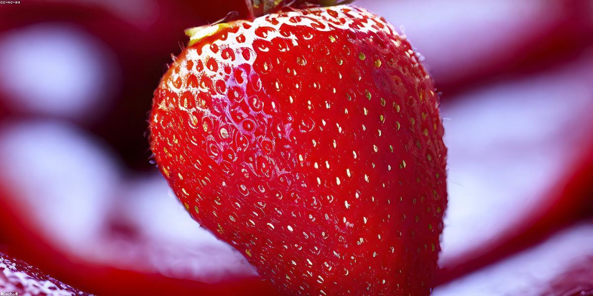 Trải nghiệm ẩm thực địa phương