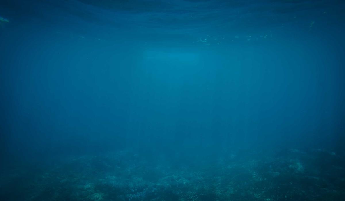 Xu hướng Nail sinh học 2026