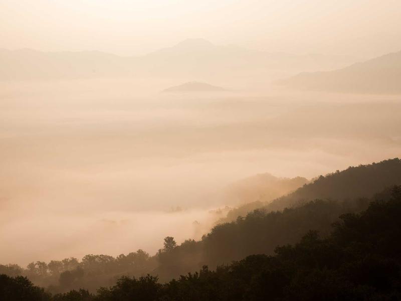 Sneaker and Bags Combo 2026