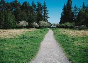 Thiền định tại Việt Nam 2026