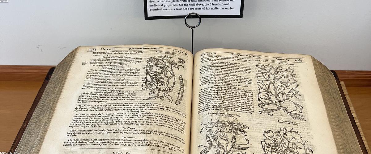 Nước hoa trị liệu