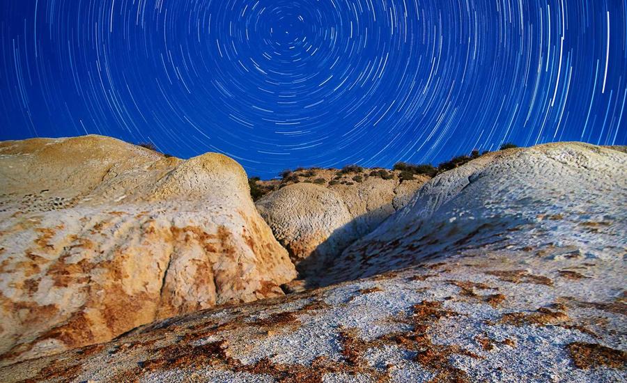 Sự sinh trưởng của rừng năm 2026