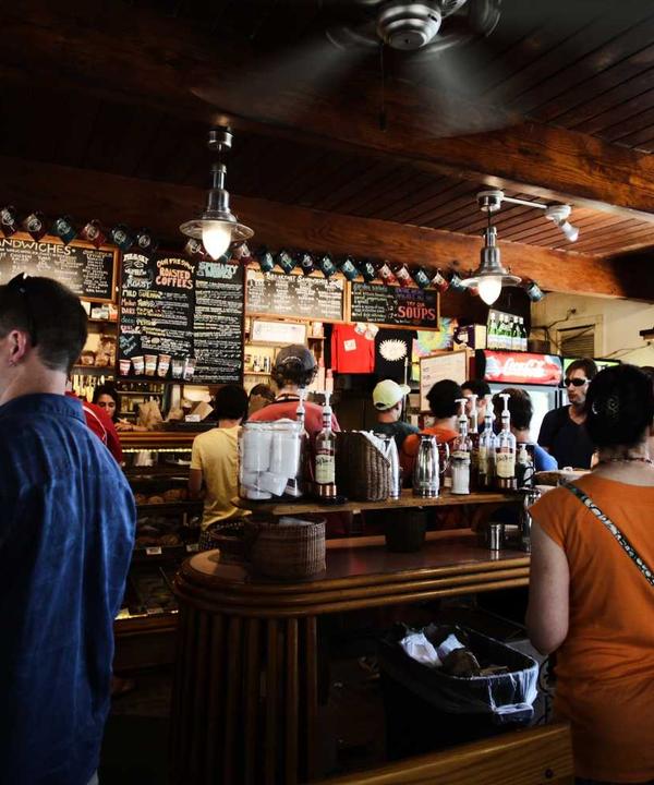 Professional Portrait