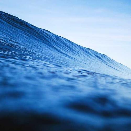 Tà Xùa mờ sương 2026