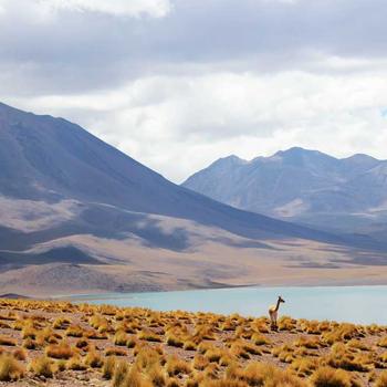 Studio Podcasting 2026