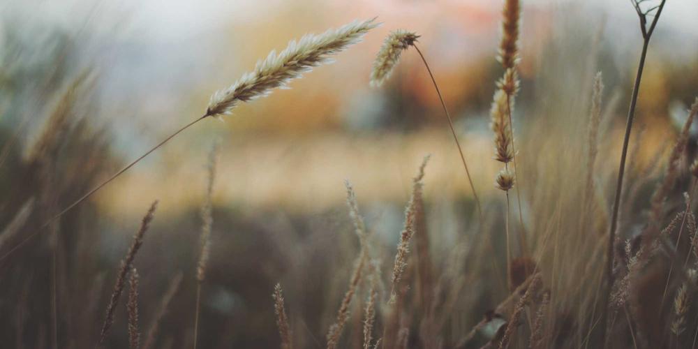 Education Future 2026