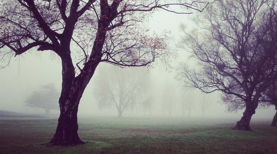 Kỹ thuật Degustation 2026