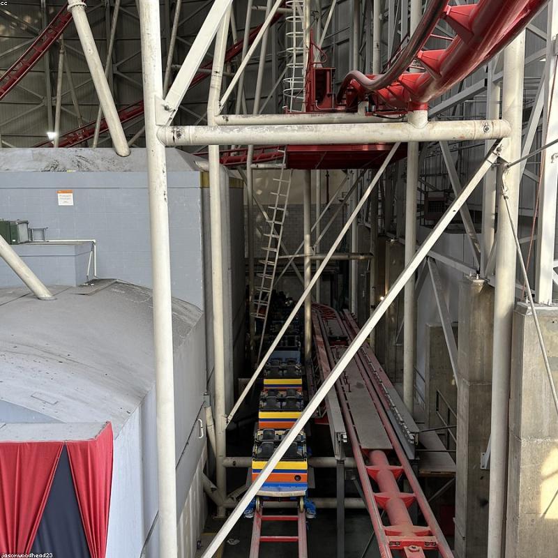 Đế Lót Ly Resin Hoa Thật Ép Khô