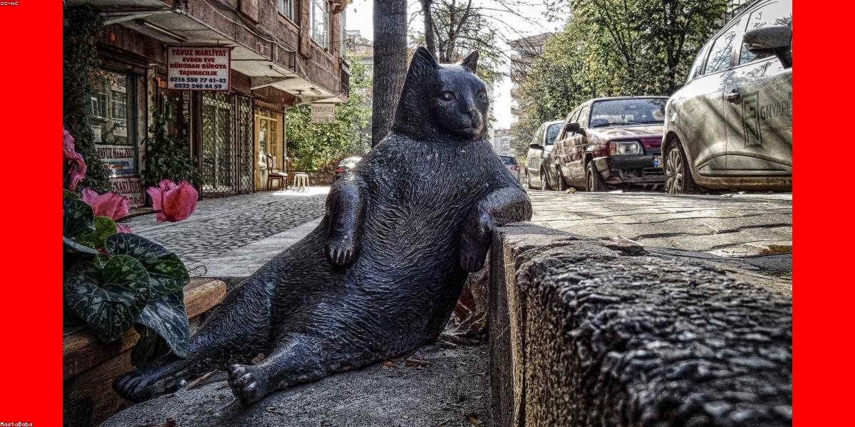 Hạt cà phê đặc sản chất lượng cao từ CoffeeBean VN